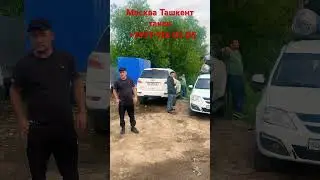 Москва Ташкент такси Россия Узбекистан Санкт-Петербург Ташкент такси
