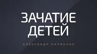 Зачатие детей. Александр Палиенко.