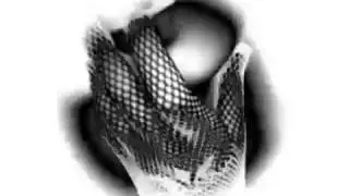 P.A.L. - Seduction (Anthro II) / Signum