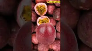 Wild fruits 
