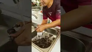 HE EATS WHOLE RAT 