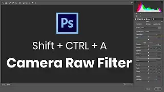 How To Use Adobe Camera RAW as a Filter in Photoshop CC | Photoshop Camera Raw Series