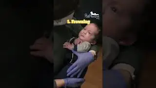 Is Baby Disengaged? See Baby’s Slow Cues in Action 