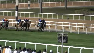 Скачки в Дубае: Миллионы долларов и самые быстрые лошади мира!🐎💰