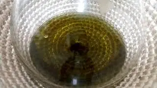 Wędrująca kropla