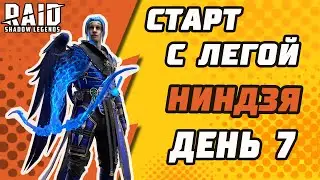 Старт с Легой. Ниндзя. День 7. Raid: Shadow Legends.