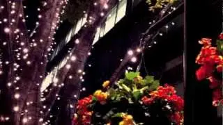 Way Down by Desi (Paper Aeroplanes Cover)