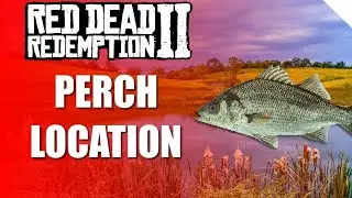 how to easily catch perch  daily challenge in RDR2 online