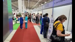 Всероссийская ярмарка «Работа России. Время возможностей» прошла в Югре