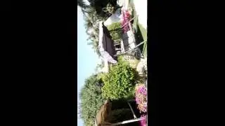 Оазис в пустыне(3)