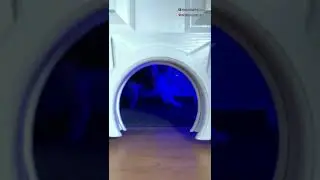 Кошачья дискотека🤣