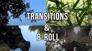 Cinematography lesson: Transitions with Matching and Contrasting Scenes, and B-roll