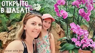 Наверно это мой рай! Парк Утопия - Израиль