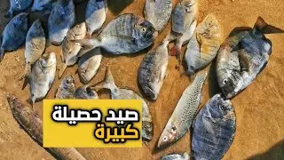 رحلة صيد سمك لفرااجة لحمد لله 🐟😍🎣