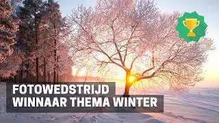 WINNAAR FOTOWEDSTRIJD - December 2022 - Januari 2023 Thema Winter