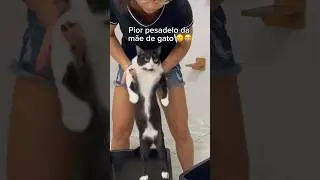 I had JUST finished cleaning the floor, this Tuxedo cat is driving me craaaaazy lol 