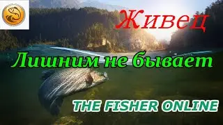 theFisher Online Беларусь:Пруд Дукора. Выполняем ежедневку при этом пополняем живца и лягушку!