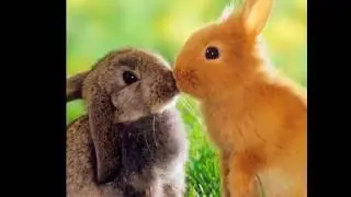 Imagenes para Perfil de Wasap