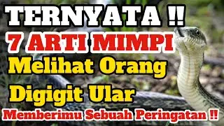 WASPADA‼️7 Arti Mimpi Melihat Orang Digigit Ular, Memberimu Sebuah Peringatan.