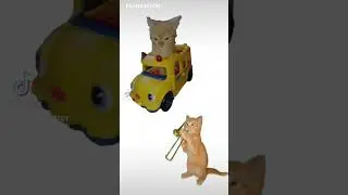 Cat in car #cat #memes #car #song #music