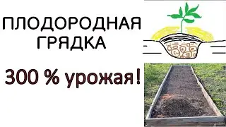 УРОЖАЙНАЯ ГРЯДКА - строительство и отчет по урожаю за 2 года!
