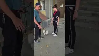 Нервный 