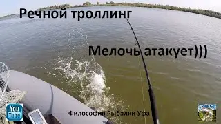 Речной троллинг Мелочь атакует)))