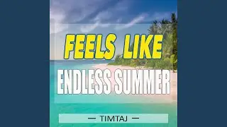 Feels Like Endless Summer