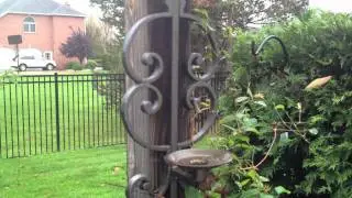 iPhone 4S Comparison Video (Horizontal)