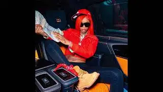 (FREE) Megan Thee Stallion Type Beat 2023 | Latto x Flo Milli Type Beat 2023 - 