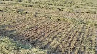 смотрите по состоянию