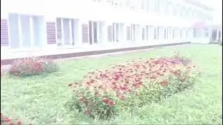 Олы Мишә мәктәбе территорияләрне төзекләндерү буенча узучы район бәйгесендә катнаша