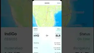Travel Hacks #flightstatus #traveltips #iphone