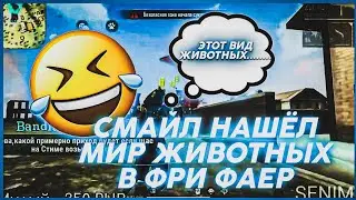 🤣СМАЙЛ НАШЁЛ МНОГО ЖИВОТНЫХ😂//🤤СМАЙЛ УГАРАЕТ НА СТРИМЕ🤣//🔥СМАЙЛ ФРИ ФАЕР🔥//🤤МОМЕНТЫ СО СТРИМА🤣//🔥FF🤤