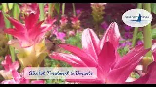 International Drug Treatment in Panama