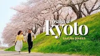 Peak Sakura in Kyoto 🌸 Riverside Sakura Festival & Sakura Tunnel Boat Ride | Japan Spring Vlog