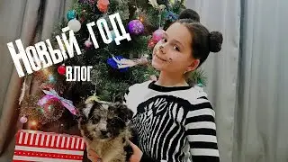 Рождественский влог