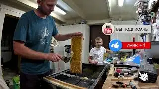 Первый Майский Мёд #пчеловодство #пчелы #bee #beekeeper #beekeeping #пчёлы