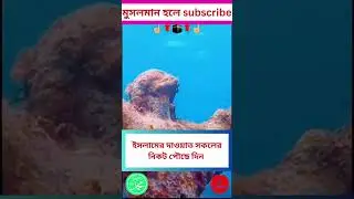 takbir ,, la ilaha illallah muhammadur rasulullah