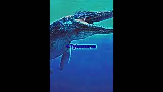 Top 15 Animals with the strongest bite force that ever existed 
