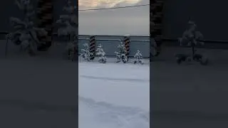 1 декабря 2023 г.