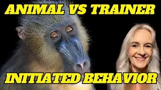 Hands-On Or Hands-Off?  Striking The Balance Between Animal Or Trainer-Initiated Behavior