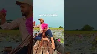 লাল শাপলার বিল