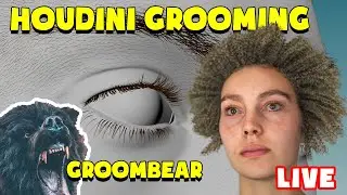 LIVE - Grooming in Houdini using Groombear and Arnold