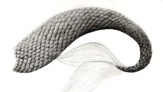 How To Draw Scale Texture With Pencils