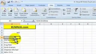 How to Remove Duplicates in Excel