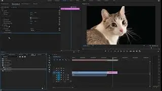 how to use camera blur effect in adobe premiere pro