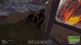 When the horses are in sync...