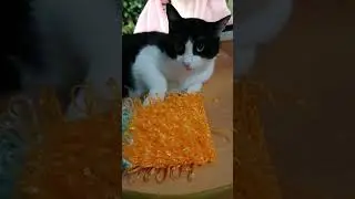 Мочалки Арбузики, коврик в ванну из полипроп. нити крючком.МК есть. Смотрите дальше. 👍