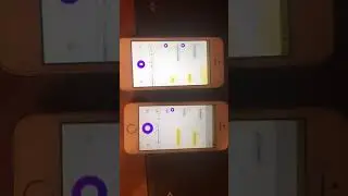 Разговор двух Алис